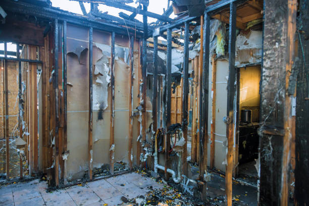 Professional Fire Damage Repair technician working in Chester, MD